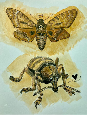 Traditional Bug Studies