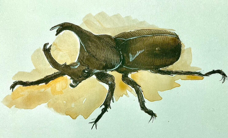 Traditional Bug Study #3